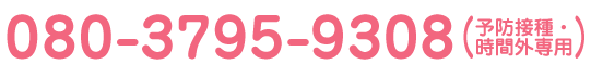 電話番号:080-3795-9308